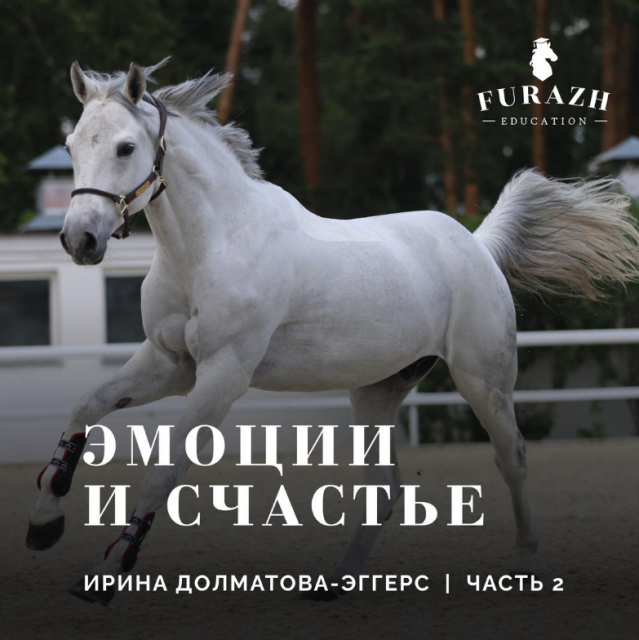 Лекция: Психология лошади _ Часть 2. Эмоции, счастье и отношения лошади. 